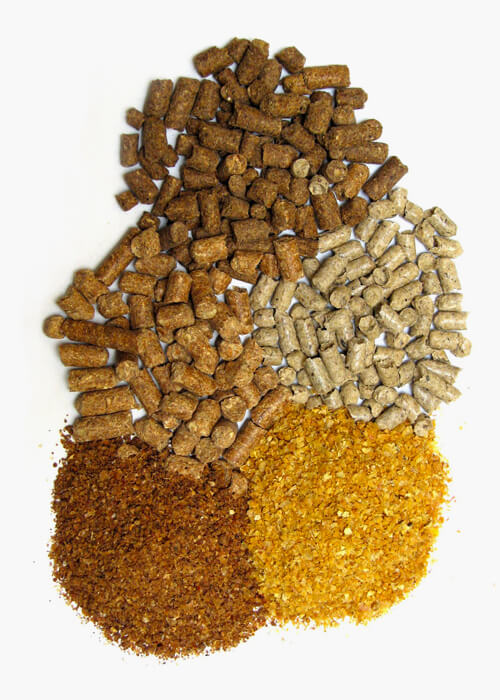 Feed and Ingredients Feed and Ingredients