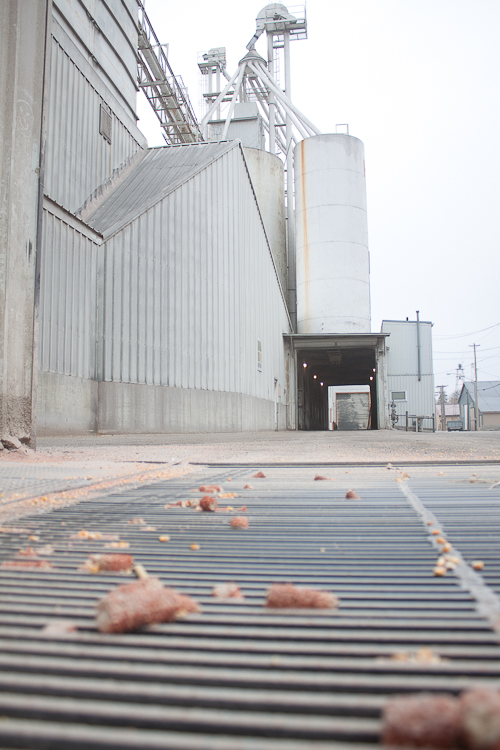 Grain Elevator Grain Elevator